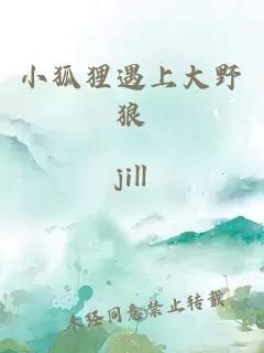 小狐狸遇上大野狼
